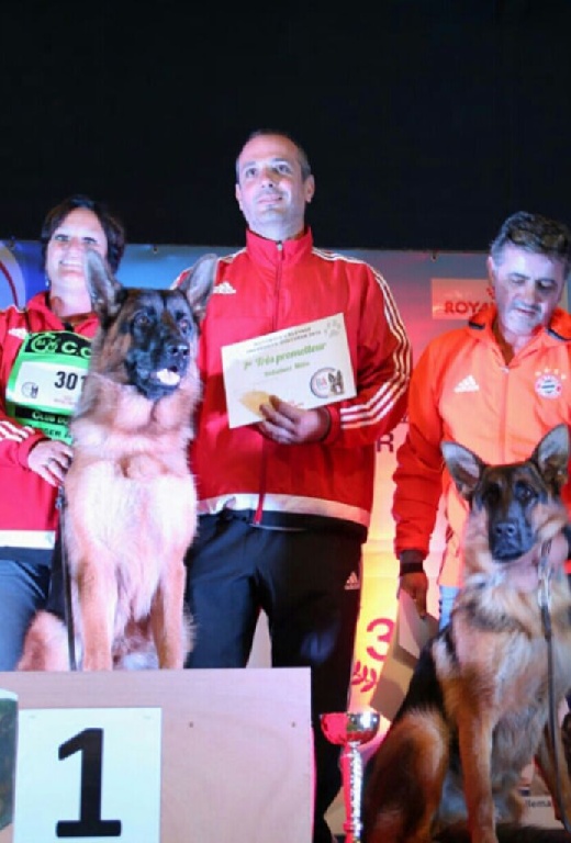 Des terres de peyrière - CHAMPIONNAT DE FRANCE CCBA 2016